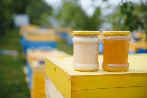 Jar Fresh Honey Glass Jar Beekeeping Concept Top View Copy — Zdjęcie stockowe