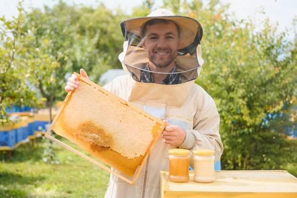 Imkerei Imker Bei Der Arbeit Bienen Flug — Stockfoto