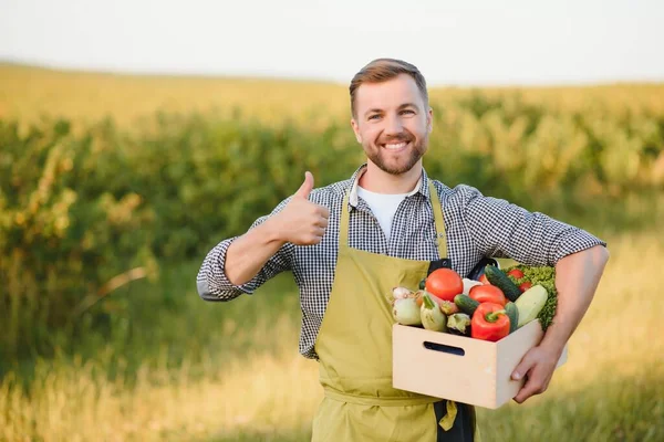 Farmer Holding Box Organic Vegetables — Zdjęcie stockowe