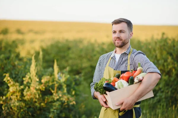Farmer Holding Box Organic Vegetables — 스톡 사진
