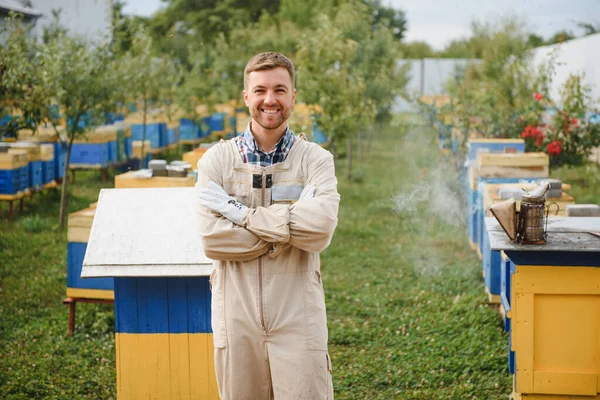 Der Imker Untersucht Die Bienen Mit Der Analyse Des Nestes — Stockfoto