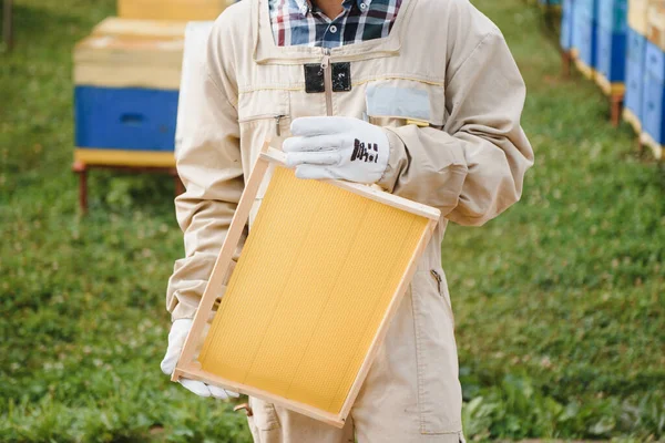 Včelař Pracuje Včelami Úly Včelíně Včely Plástech Rámy Včelího Úlu — Stock fotografie