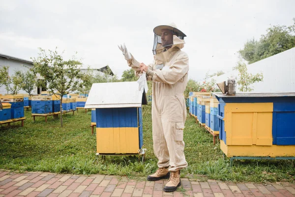 Imker Arbeiten Mit Bienen Und Bienenstöcken Bienenstock Bienen Auf Waben — Stockfoto