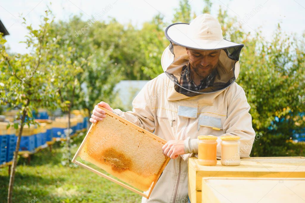Beekeeping, beekeeper at work, bees in flight