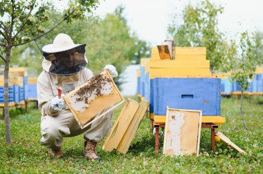 Arıcılık, arıcılık, uçuşan arıcılık.