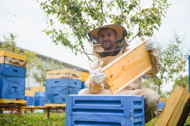 Arıcı apiary üzerinde arı lar ve arı kovanları ile çalışıyor. Arıcılık kavramı.