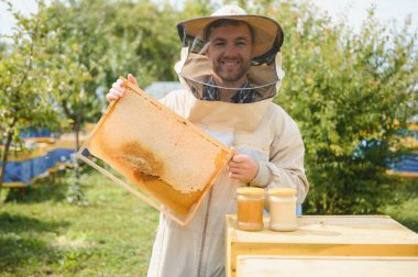 Arı yetiştiricisi arılarla ve arı kovanlarıyla çalışıyor. Arılar bal peteğinde. Arı kovanının çerçeveleri. Arıcılık. - Tatlım. Sağlıklı yiyecekler. Doğal ürünler