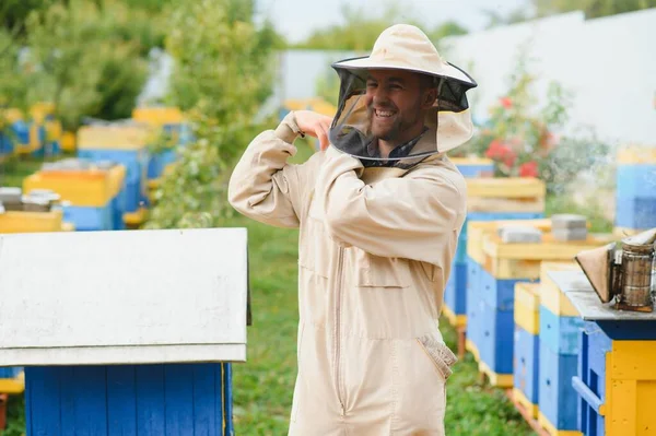 Apicultor Está Trabajando Con Abejas Colmenas Colmenar Abejas Panal Marcos — Foto de Stock