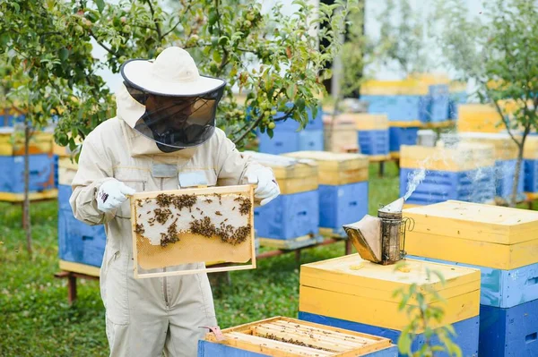 養蜂家 養蜂家 飛行中の蜂 — ストック写真