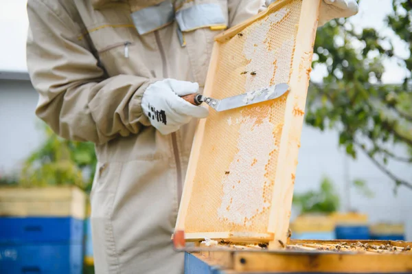 養蜂家 養蜂家 飛行中の蜂 — ストック写真