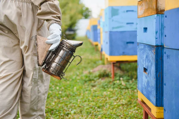 Imker Arbeiten Mit Bienen Und Bienenstöcken Bienenstock Bienen Auf Waben — Stockfoto