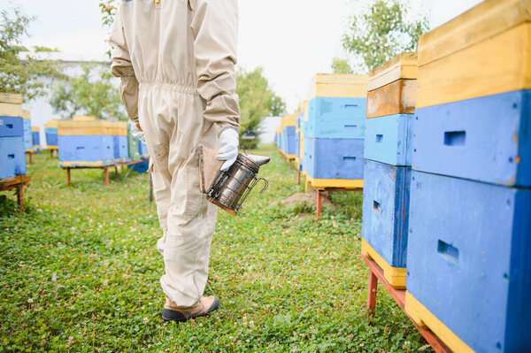 Beekeeping, beekeeper at work, bees in flight