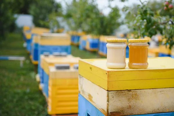 Jar Fresh Honey Glass Jar Beekeeping Concept Top View Copy — Stok fotoğraf