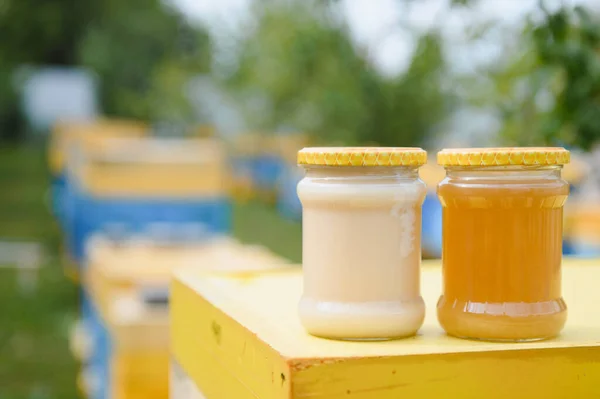 Jar Fresh Honey Glass Jar Beekeeping Concept Top View Copy — Foto Stock