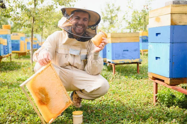 Pszczelarstwo Pszczelarz Pracy Pszczoły Locie — Zdjęcie stockowe