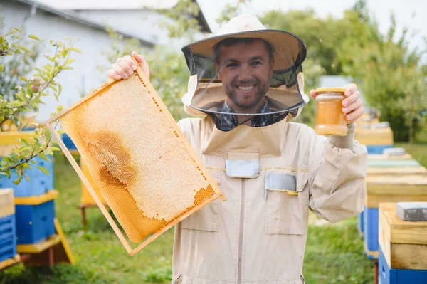 Pszczelarz Pracuje Pszczołami Uli Pasiece Pszczoły Plastrze Miodu Ramy Uli — Zdjęcie stockowe