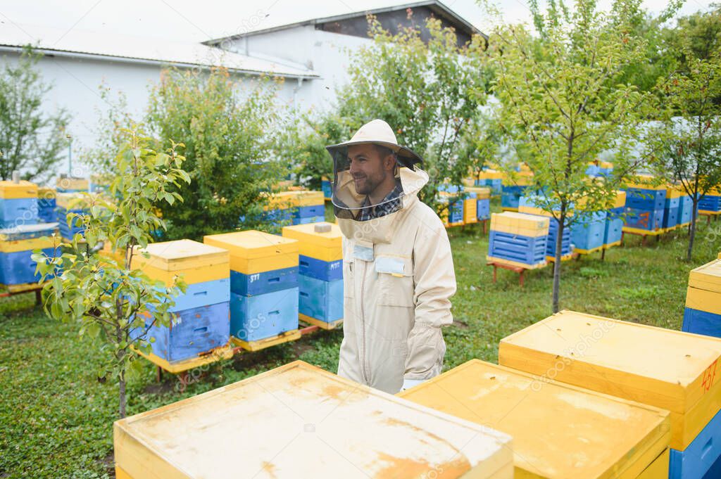 Beekeeper is working with bees and beehives on apiary. Bees on honeycomb. Frames of bee hive. Beekeeping. Honey. Healthy food. Natural products