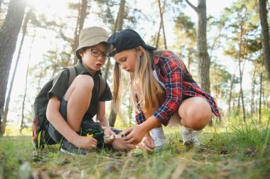 Kids exploring nature with magnifying glass. Summer activity for inquisitive child