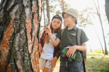 kids scouts in the forest