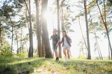 kids scouts in the forest
