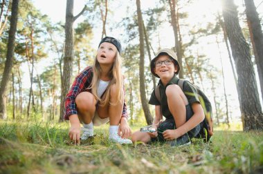 Group of curious happy school kids in casual clothes with backpacks exploring nature and forest together on sunny autumn day