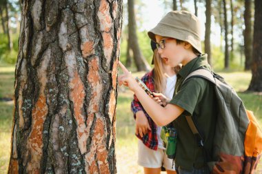 Kids exploring nature with magnifying glass. Summer activity for inquisitive child