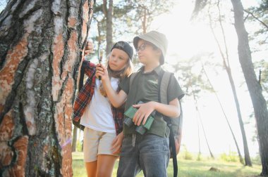 Kids exploring nature with magnifying glass. Summer activity for inquisitive child