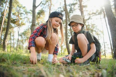 Two kids in casual clothes in exploring nature in forest together during school camping trip with magnifying glass
