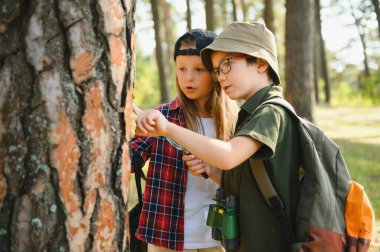 Two happy children having fun during forest hike on beautiful day in pine forest. Cute boy scout with binoculars during hiking in summer forest. Concepts of adventure, scouting and hiking tourism.