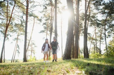 Happy excited school children with backpacks in casual clothes enjoying walk in forest on sunny autumn day, two active kids boy and girl running and playing together during camping trip in nature