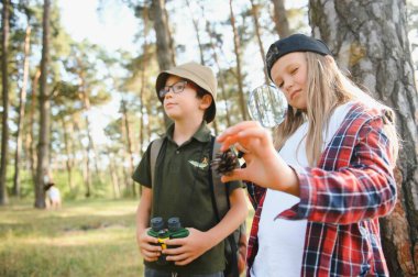Two happy children having fun during forest hike on beautiful day in pine forest. Cute boy scout with binoculars during hiking in summer forest. Concepts of adventure, scouting and hiking tourism.