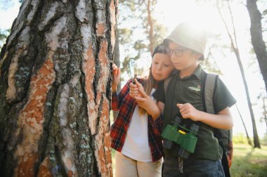 kids scouts in the forest