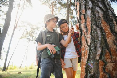 kids scouts in the forest