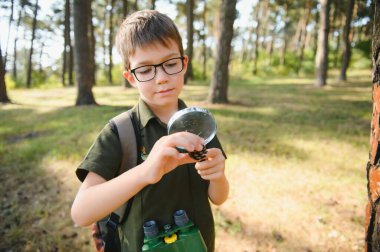 Erkek biyolog ya da böcekbilimci doğayı inceliyor. Ormanda keşif gezisi. Bir genç böcekleri inceler. Biyoloji. Jeoloji. Ormana keşif gezisi.