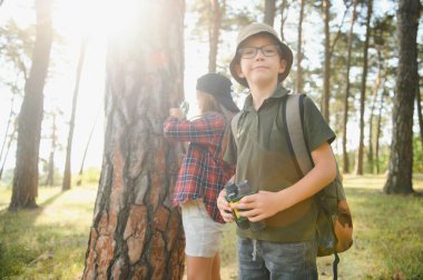 Two happy children having fun during forest hike on beautiful day in pine forest. Cute boy scout with binoculars during hiking in summer forest. Concepts of adventure, scouting and hiking tourism.