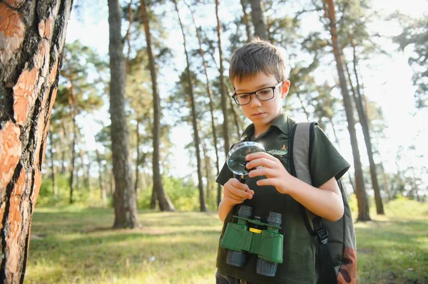 Boy biologist or entomologist studies nature. Scout in the forest. A teenager studies insects. Biology. Geology. Expedition in the forest.