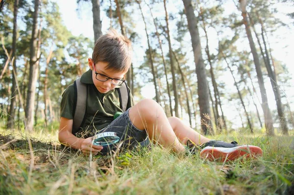 Boy biologist or entomologist studies nature. Scout in the forest. A teenager studies insects. Biology. Geology. Expedition in the forest.