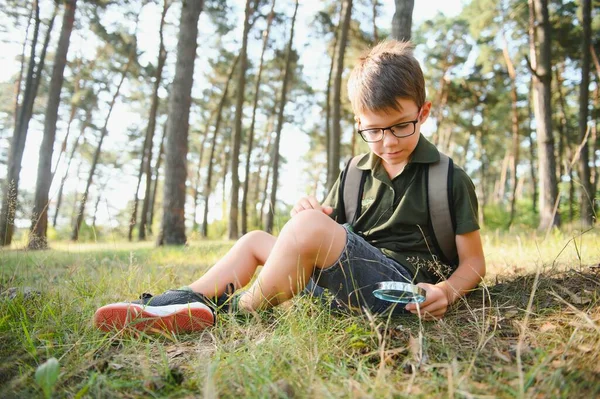 Boy biologist or entomologist studies nature. Scout in the forest. A teenager studies insects. Biology. Geology. Expedition in the forest.