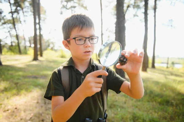 Boy biologist or entomologist studies nature. Scout in the forest. A teenager studies insects. Biology. Geology. Expedition in the forest.