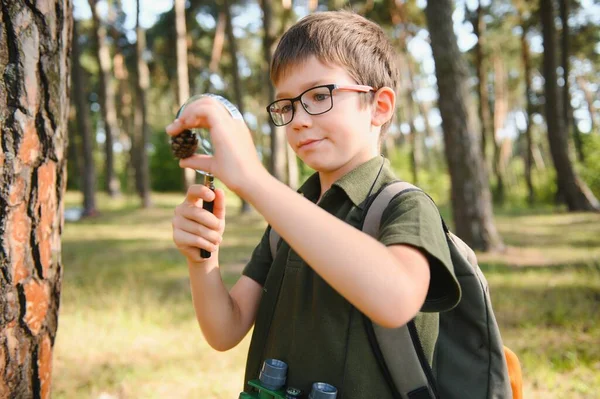 Boy biologist or entomologist studies nature. Scout in the forest. A teenager studies insects. Biology. Geology. Expedition in the forest.