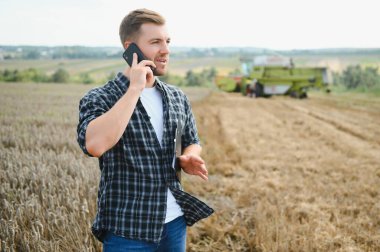 Farmer In Wheat Field Inspecting Crop. Farmer in wheat field with harvester.