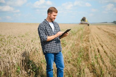 Farmer Standing In Wheat Field At Harvest.