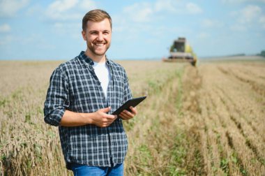 Farmer Standing In Wheat Field At Harvest.