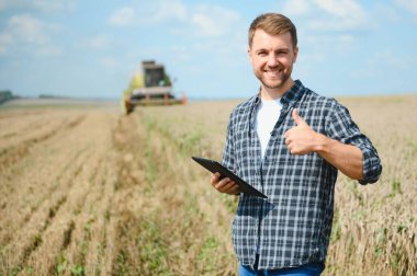 Farmer Standing In Wheat Field At Harvest.