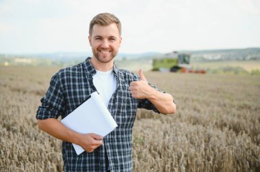 Farmer In Wheat Field Inspecting Crop. Farmer in wheat field with harvester.
