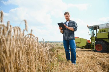 Farmer Standing In Wheat Field At Harvest.