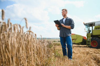 Farmer Standing In Wheat Field At Harvest.