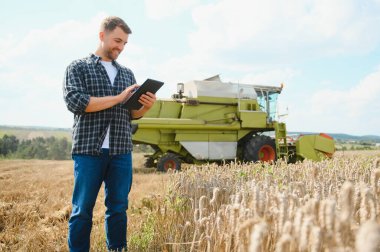 Farmer Standing In Wheat Field At Harvest.