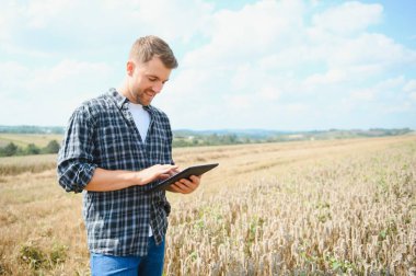 Gün batımında buğday tarlasında çiftçi adam. Çiftçilik ve tarım ürünleri..