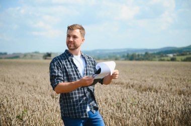 Yaz aylarında hasat sırasında buğday alanında genç çiftçi.
